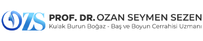 Prof. Dr. Ozan Seymen SEZEN